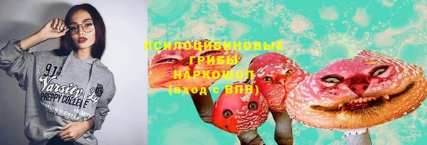 spice Липки