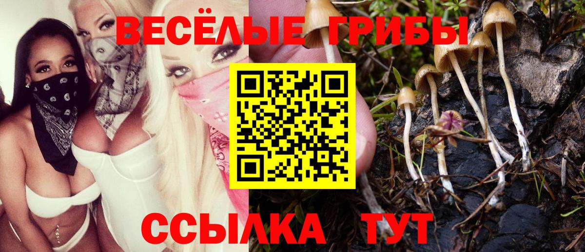 Саратов  Псилоцибиновые грибы Psilocybine cubensis  Псилоцибиновые грибы Psilocybine cubensis  Вход с VPN 